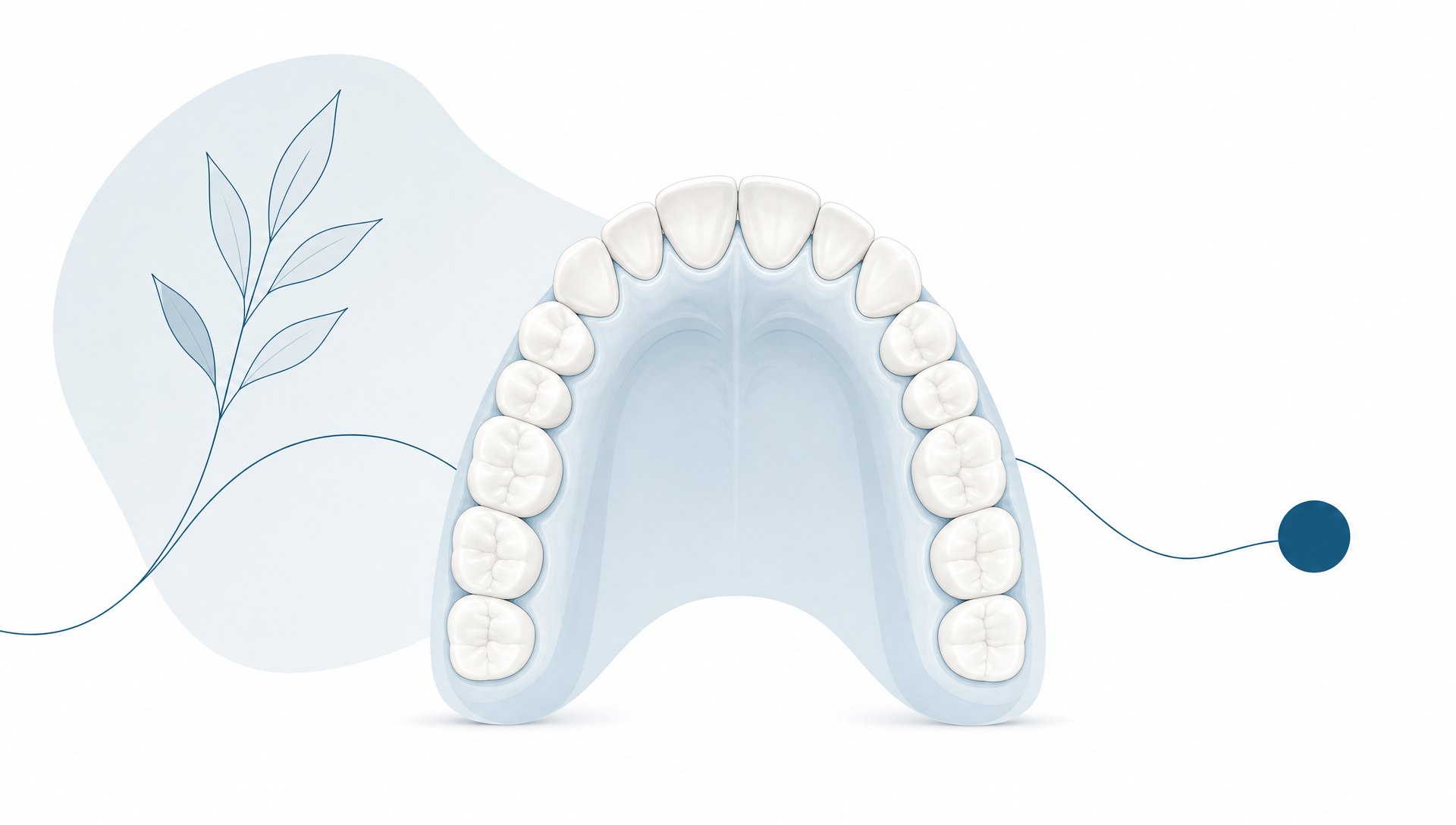 A dental arch, toothbrush and glass of water illustrate a simple daily dental wellbeing routine.