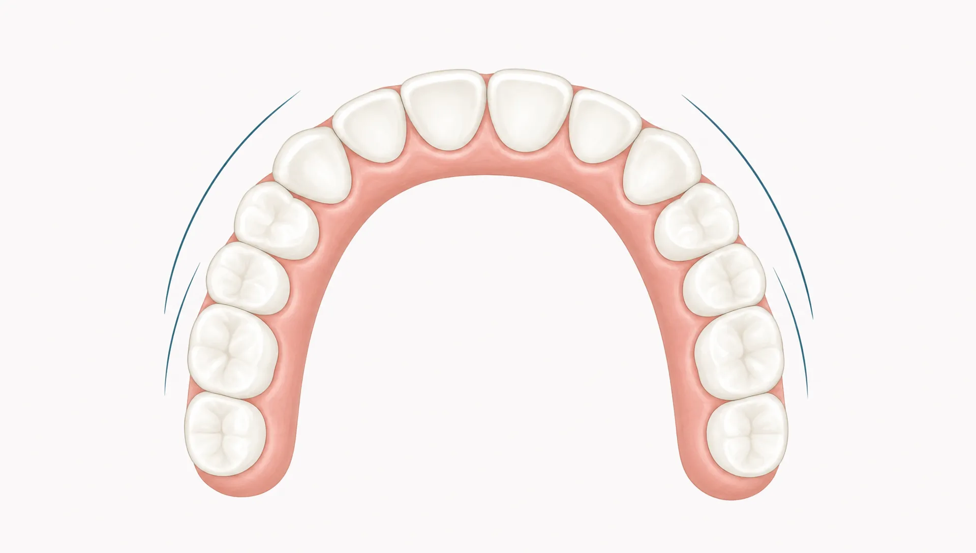 A simple dental arch with a clean gumline and gentle curved accents suggests healthy gums and careful brushing.